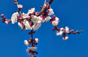 Agriturismo Val della Pieve - Foto 2