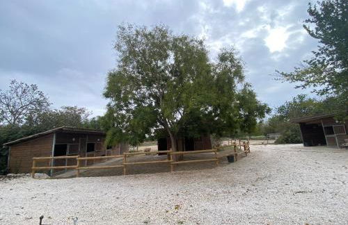 Gite Provençal du Mas Arnaud - Foto 26