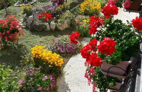 Apartments Topalović - Foto 23