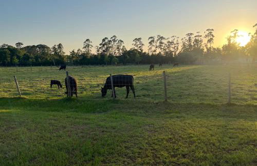 BlockHaven near Legoland, Disney - Foto 55