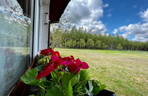 Domek nad Wartą - Foto 20