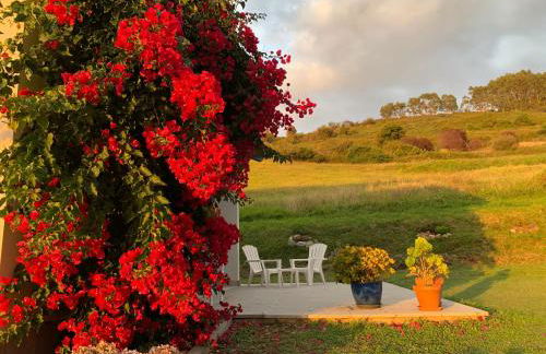 Casa Paloma - Foto 6