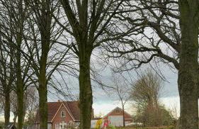 Wohnen in der ehemaligen Bauernstube - Foto 18