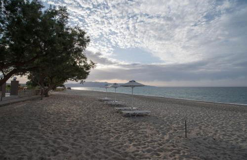 Electra Studios - Foto 67