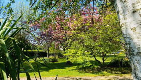 Le tulipier - Foto 4, Garden