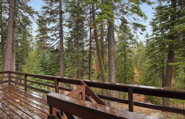 Lake Tahoe Treasure! Minutes From Beach & Skiing - Foto 39