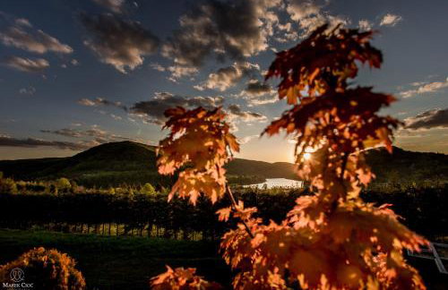 Chaty na Cholewicy Domki Całoroczne - Foto 8