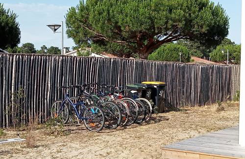 Santa Monta - Foto 18