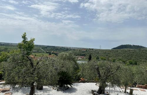 Agrihome di Alberto Giuseppe Gulotta B&B Bella Vista Chalet La Vista - Foto 27