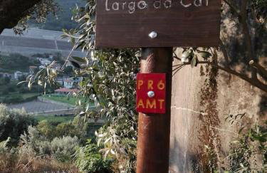 New Honey House, Serra do Marão Ansiães-Amarante - Foto 48