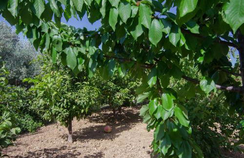 Marina's House - Photo 17