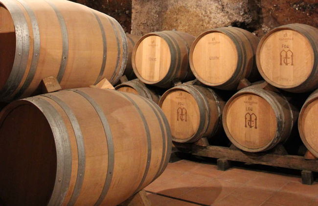 Visita a la bodega Muelas - Foto 6