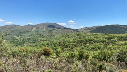 El Refugio de San Pablo de los Montes - Foto 5