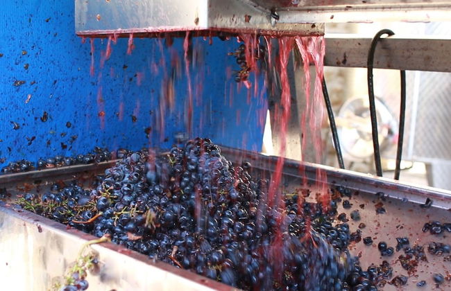 Antica Grancia di Quercecchio - Foto 40