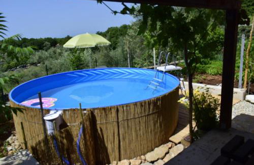 Apartment Lucy - Photo 2