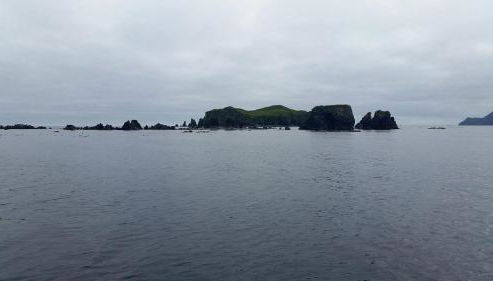 Secluded Waterfront Cottage Rental near Anchorage, Alaska - Foto 2