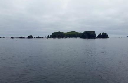 Secluded Waterfront Cottage Rental near Anchorage, Alaska - Foto 2