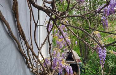 Gîtes chez Daniel "Provence" - Foto 36