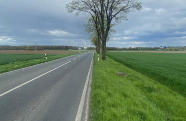 Apartment Esclusivo - wohnen auf Zeit möblierte Wohnung - Foto 41