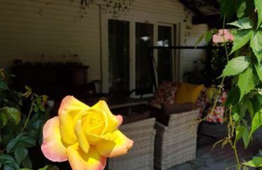 Willa Różana - Foto 14