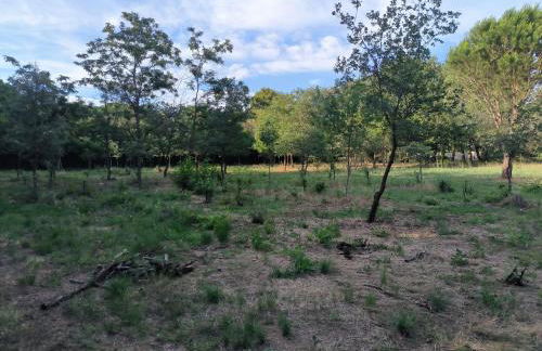 location saisonnière curiste - Foto 14