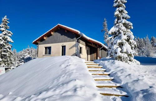 Magnifique chalet avec terrasse, jardin et sauna extérieur - Foto 8