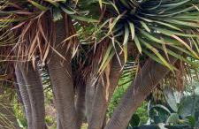 Casa Nieves de Mario - Foto 40