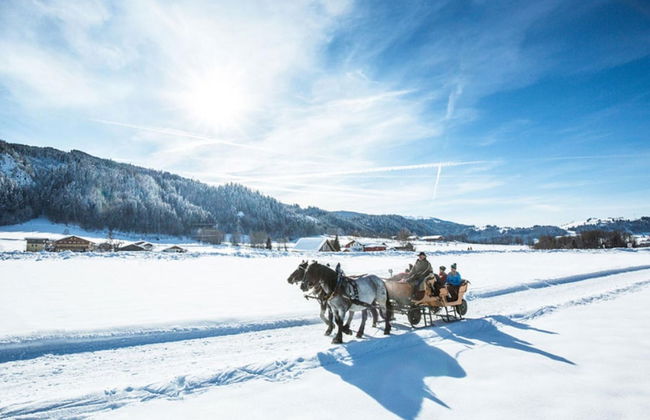 Apartment in Radstadt Near Ski Amade - Foto 29