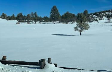 The Heart of Julian - Foto 7