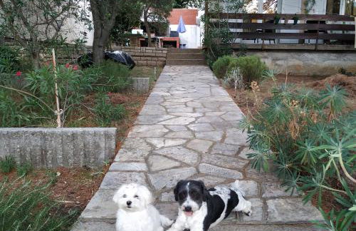 Danica Holiday House - Foto 29
