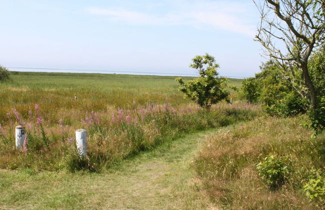 "Pyry" - 400m to the fjord - Foto 4