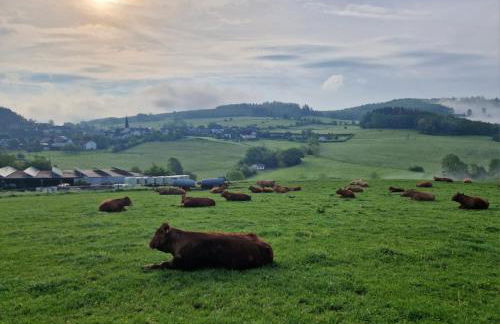 Ferienwohnung Sauerlandherz - Foto 28
