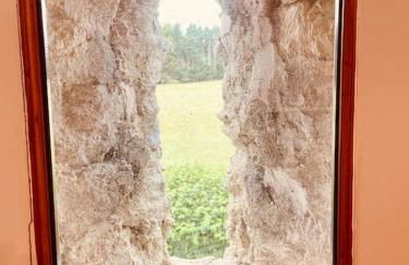 Tawny Owl Barn - Foto 5