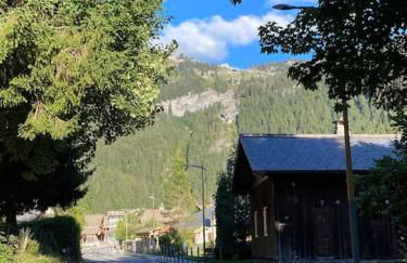 Gorgeous 2 bedroom, 2 full bath, ski in apartment! Winner of 2025 and 2024 Traveller Award! - Photo 28