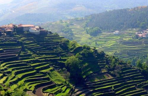 Casa da Ferreirinha - Foto 35