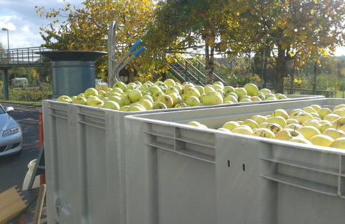 Obsthof Flammersberger - Foto 21