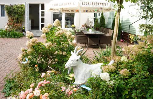 Zacisze Sosnowe - Foto 24