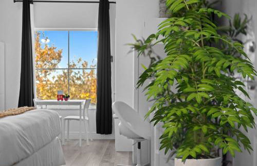 King Bed Theme Park Hotel Free Shuttle Included - Foto 20