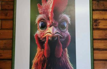 Domek "Sen 100 Jezior" - Foto 14