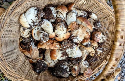 Grande ferme de 250m2 rénovée au charme rustique - Foto 52