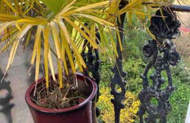 Stunning Arty Apartment in the heart of Clifton - Foto 14