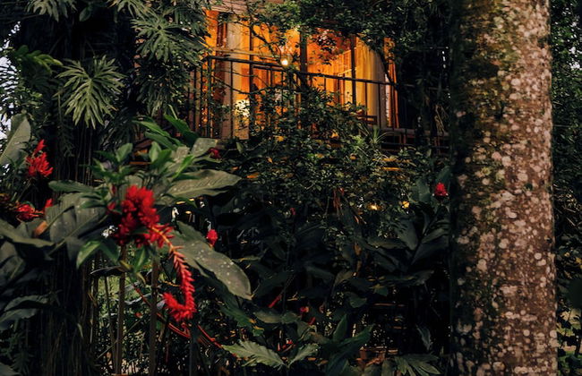 Las Cabanas - Foto 33