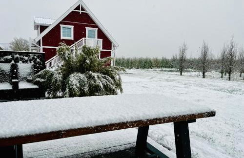 Muggelhuus das Ferienhaus im Alten Land / Pflaumenbaum - Photo 53