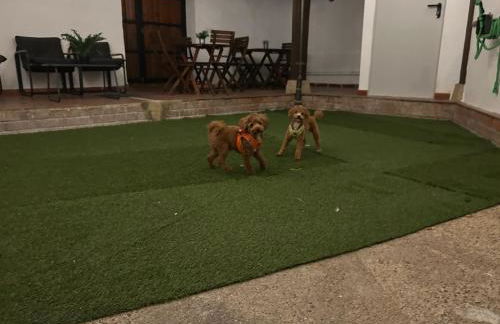 La villa de Leo y Lola - Foto 47