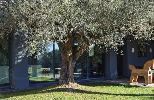 Villa With Olive Grove In Abruzzo - Foto 21