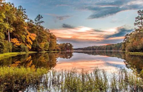 A Place to Escape 5 minutes from Downtown Newly Renovated - Foto 45