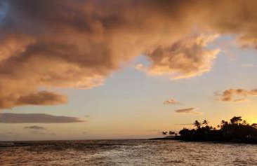 Prince Kuhio 110 - Foto 45