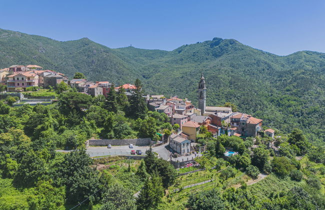 Ciliegiolo - Foto 33