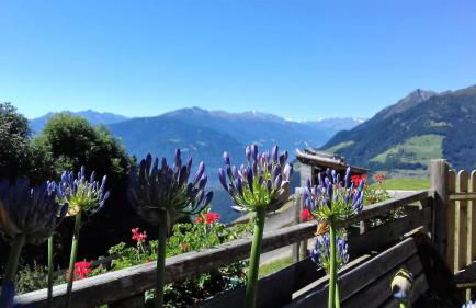 Ferienwohnungen Wiesbauer - Foto 36