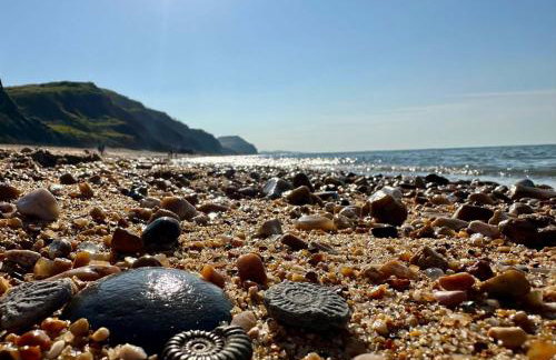 Bredy Cottages - Foto 52